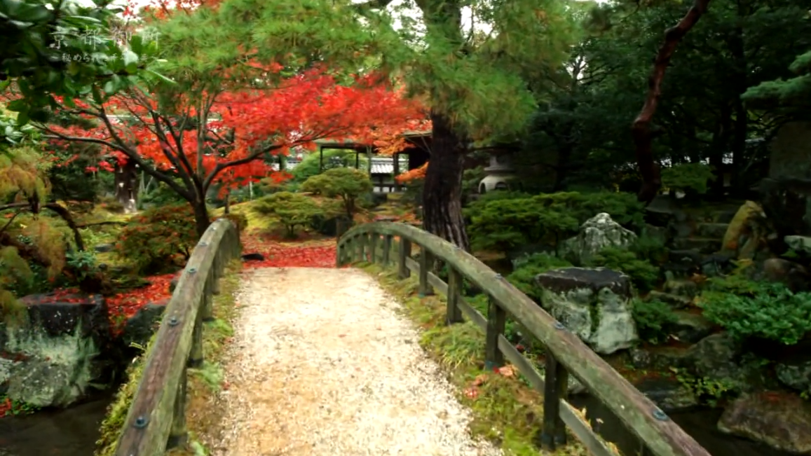 京都御所：不为人知的千年之美剧照的剧照
