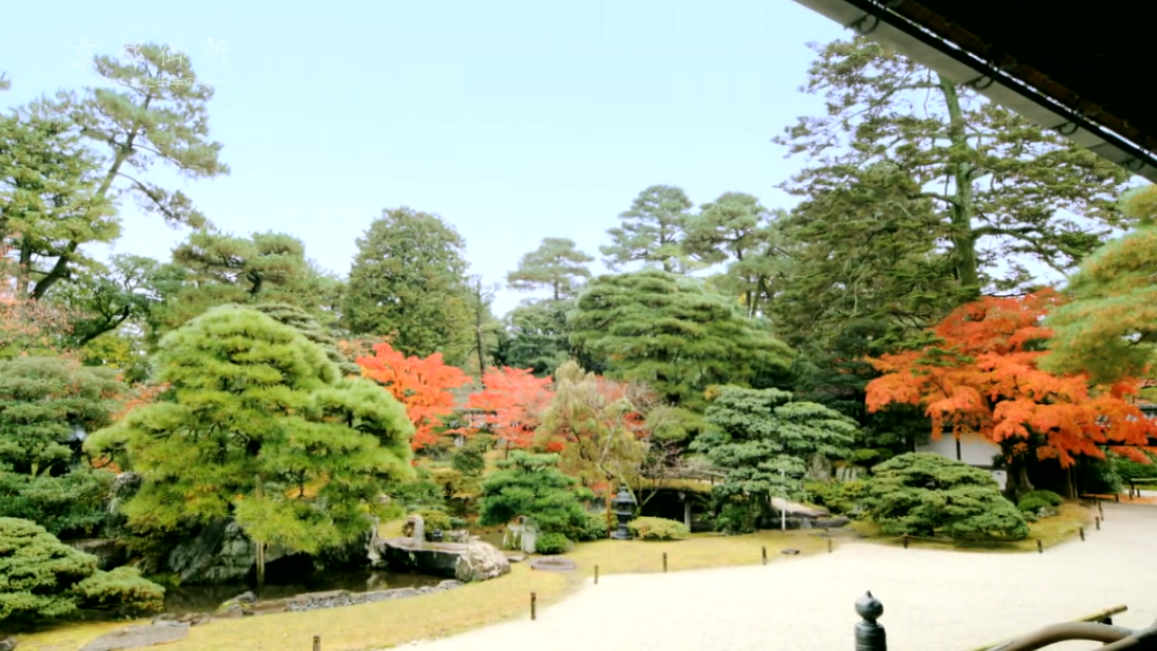 京都御所：不为人知的千年之美剧照的剧照