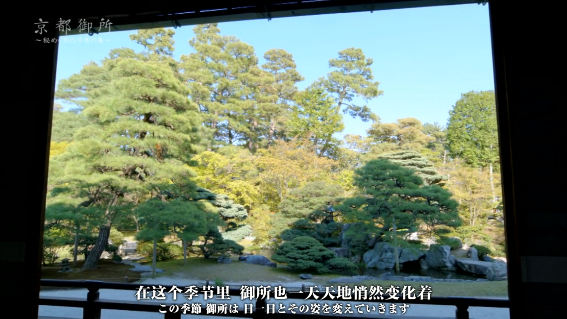 京都御所：不为人知的千年之美剧照的剧照