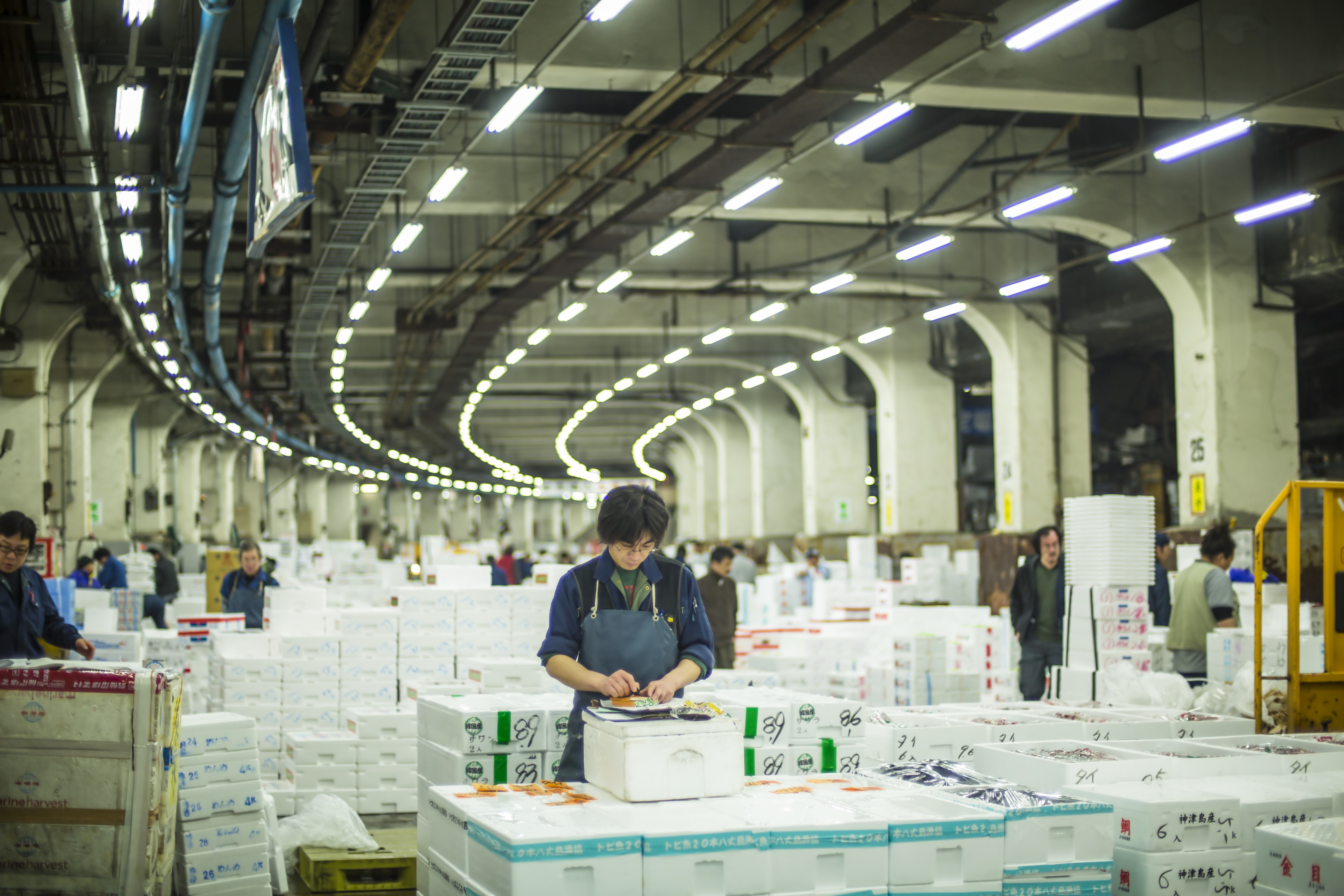 筑地仙境剧照的剧照