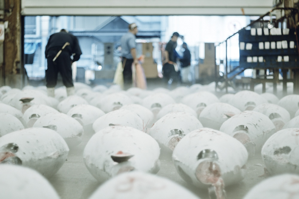 筑地仙境剧照的剧照