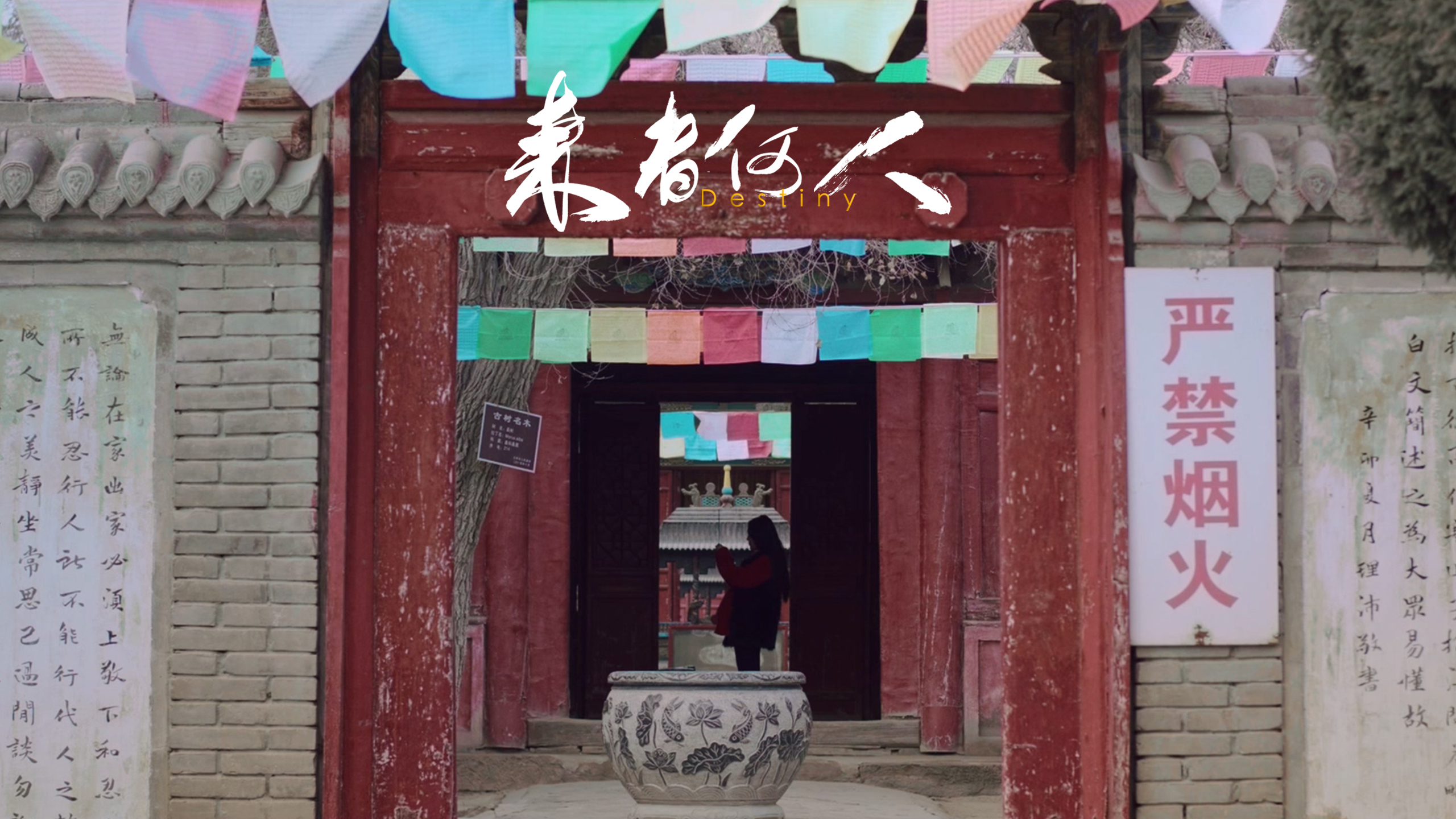 来者何人剧照的剧照