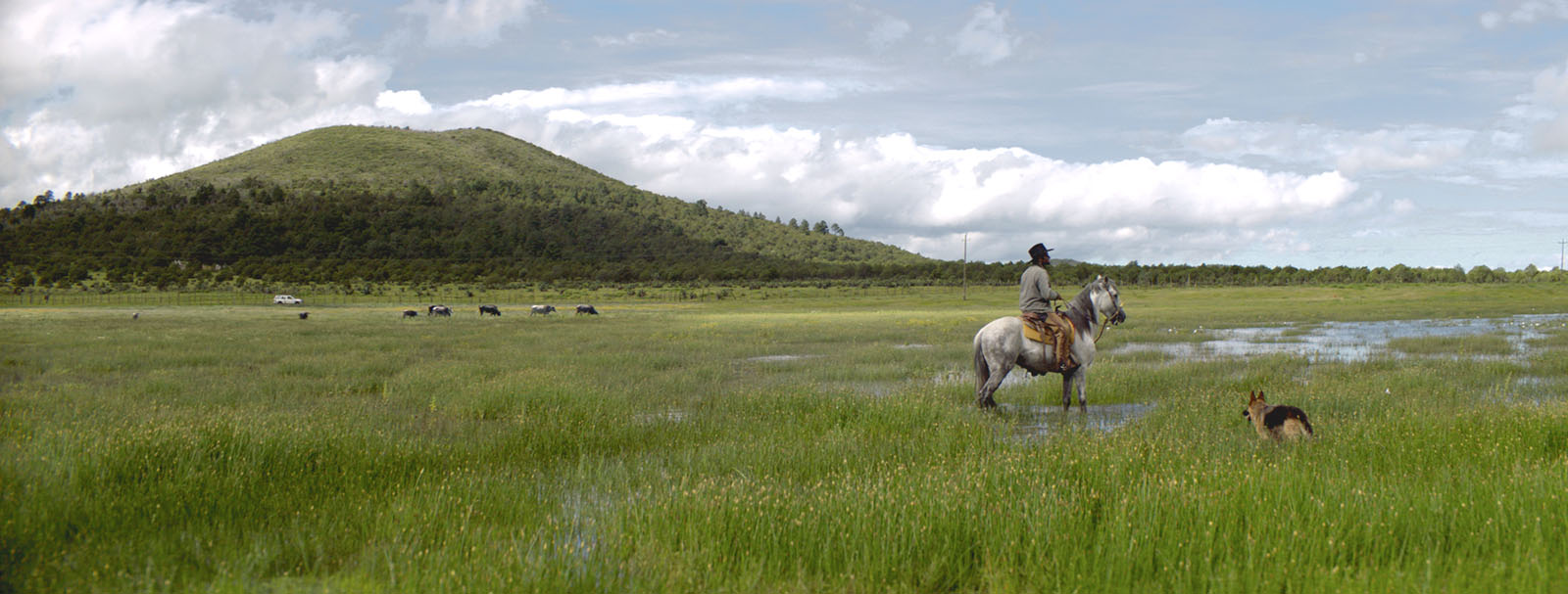 我们的时光剧照的剧照