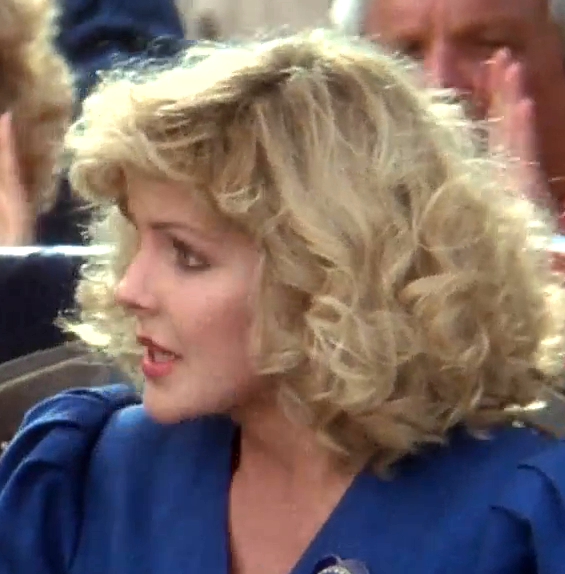 白头神探剧照的剧照