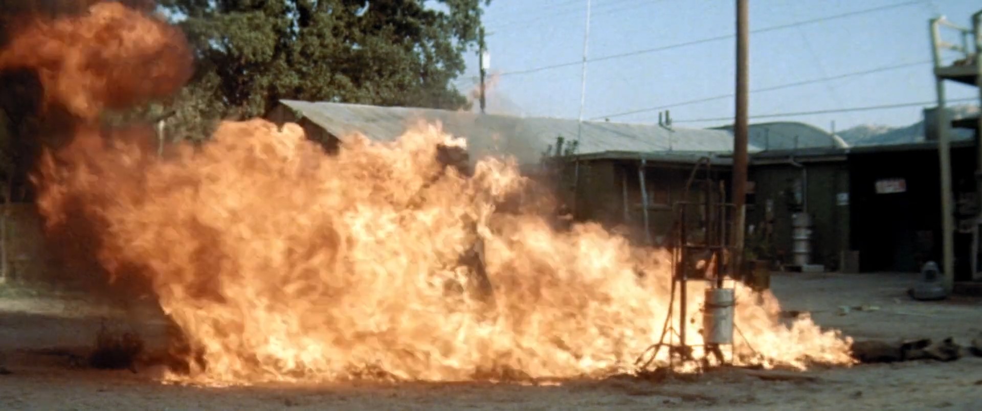 寄生魔种剧照的剧照