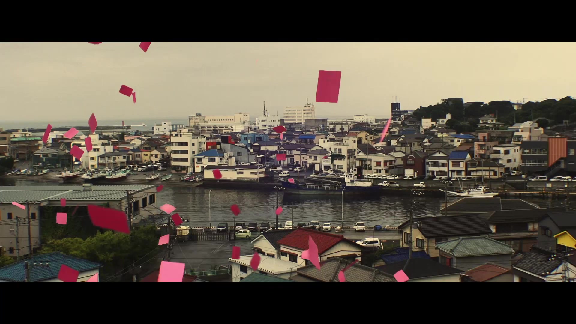 海角上的兄妹剧照的剧照