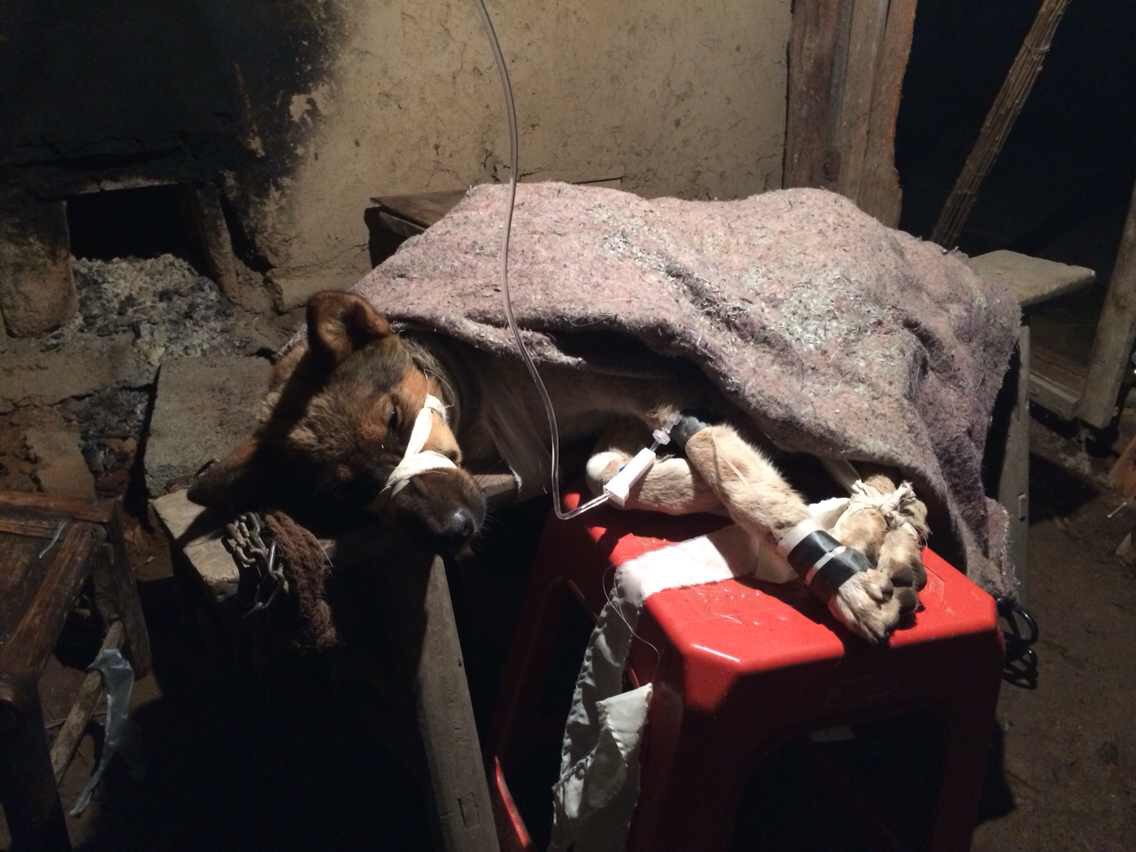 五百米八百米剧照的剧照