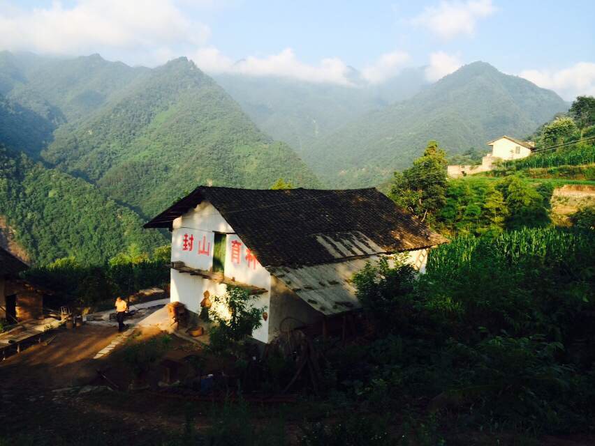 五百米八百米剧照的剧照