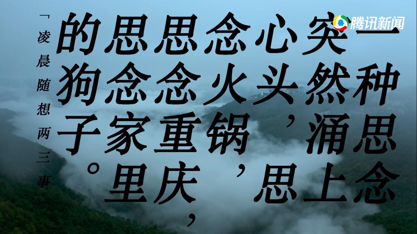没有哪个夏天像今年一样剧照的剧照