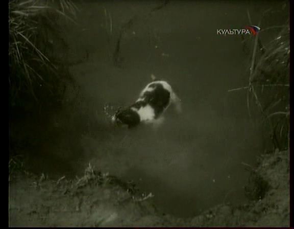 木木剧照的剧照