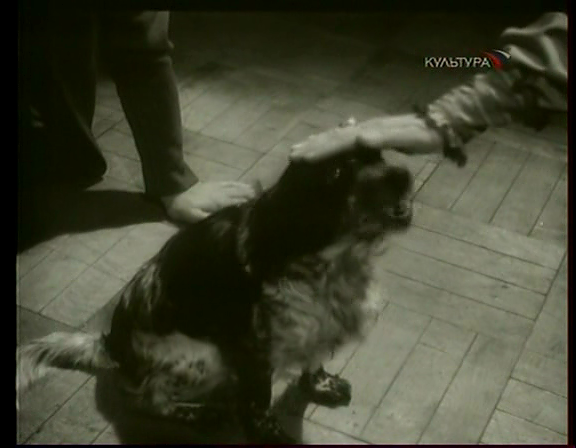 木木剧照的剧照