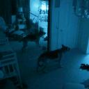 灵动：鬼影实录2剧照