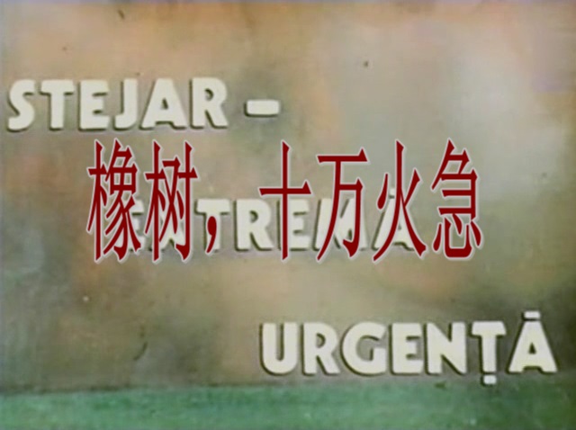 橡树，十万火急剧照的剧照