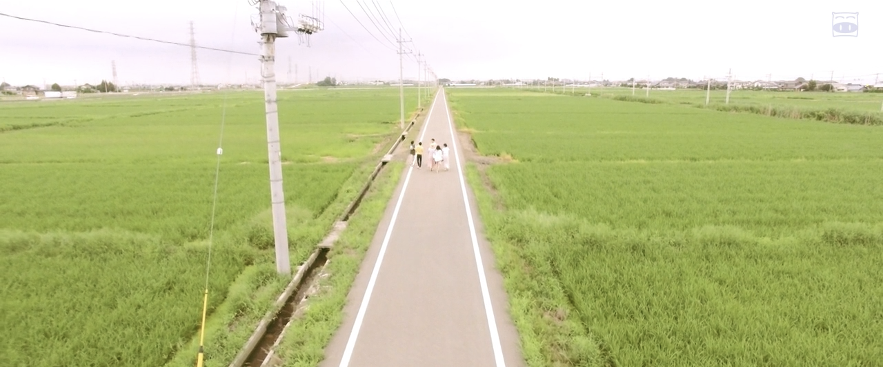 青色归途剧照的剧照