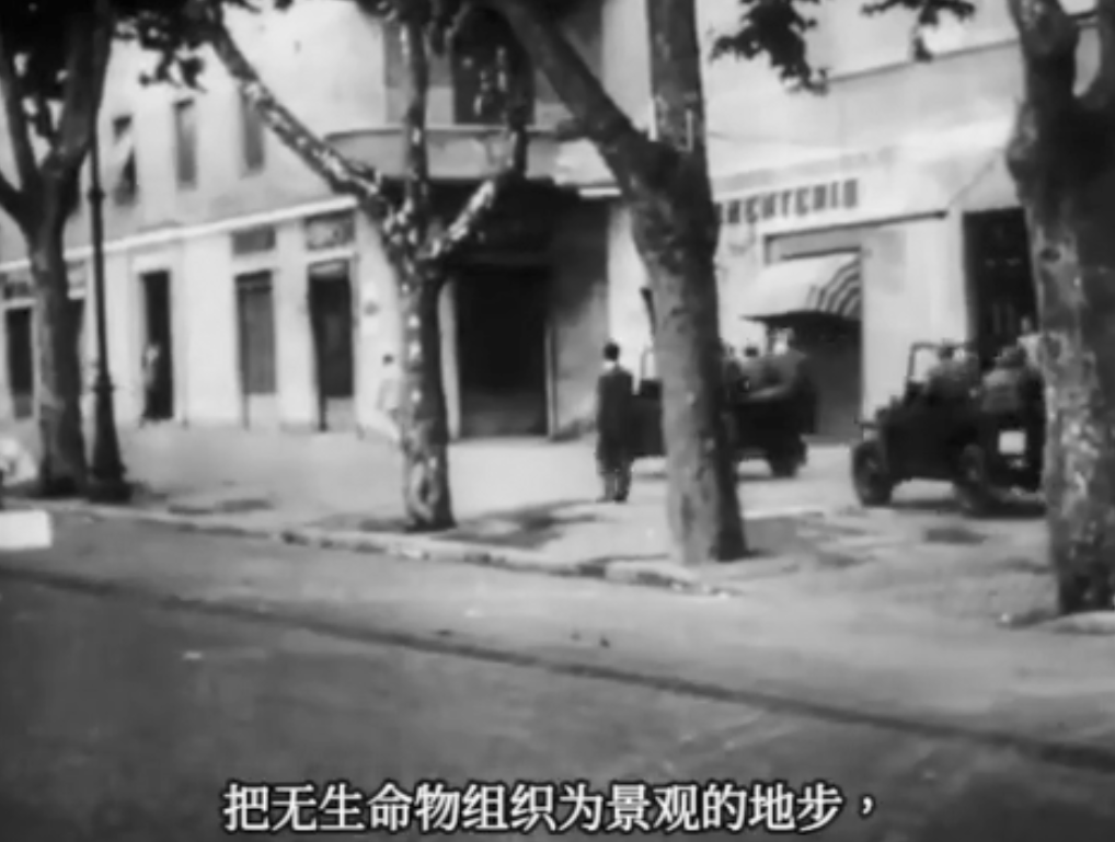 景观社会剧照的剧照