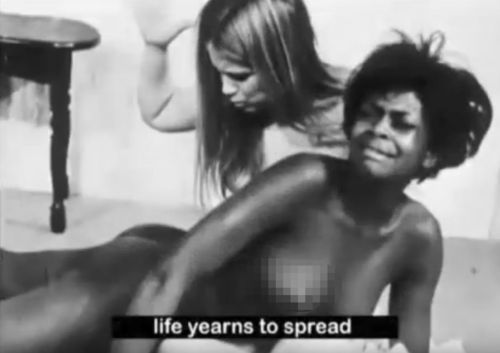 景观社会剧照的剧照