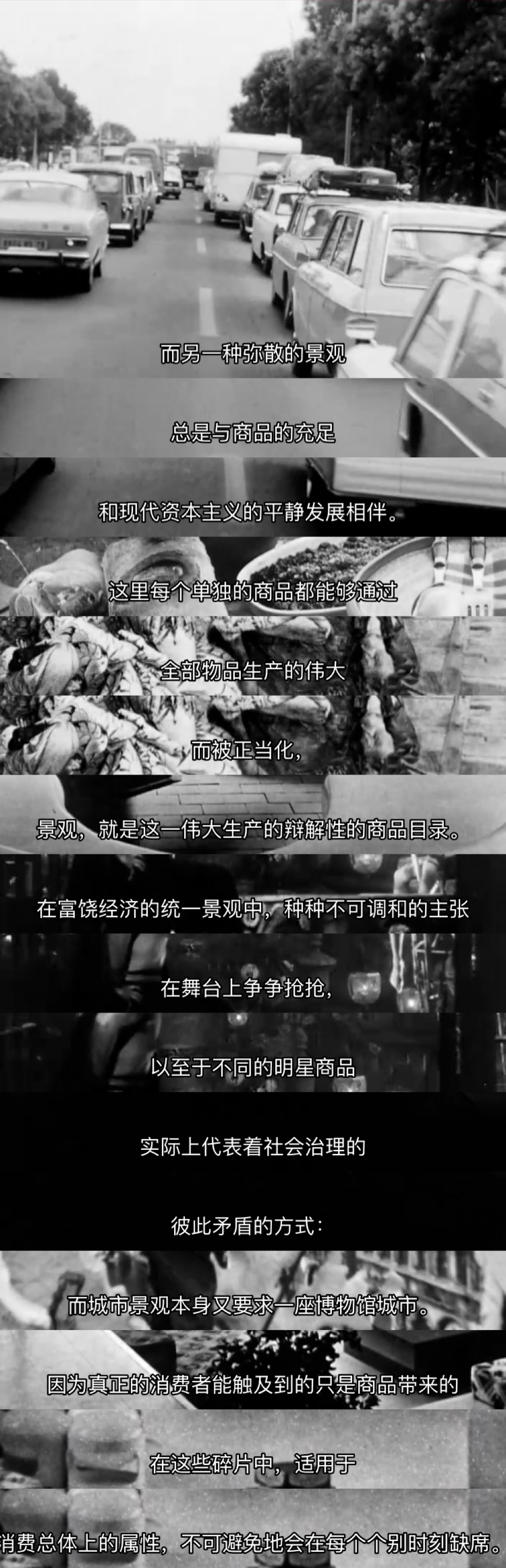 景观社会剧照的剧照