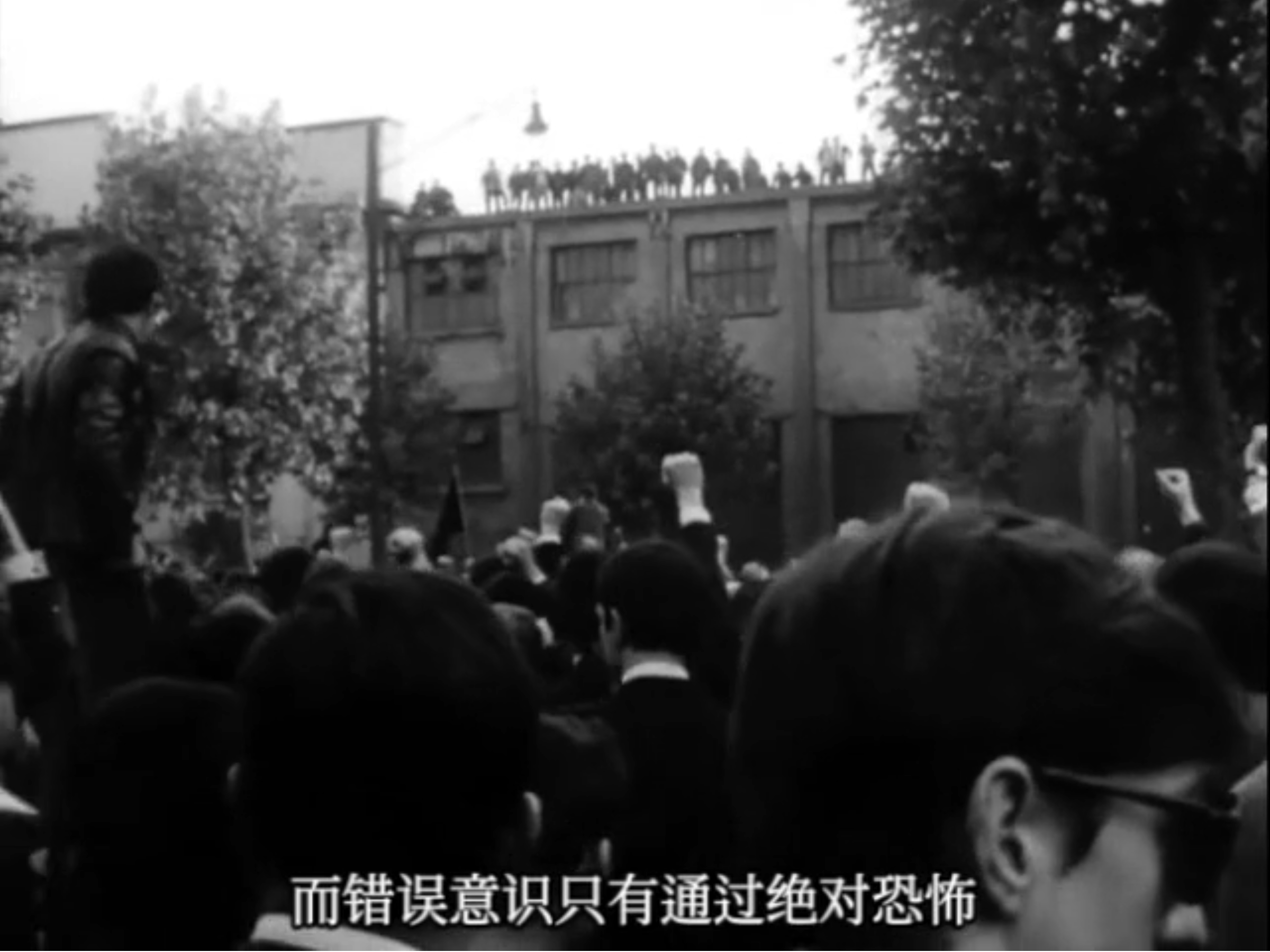 景观社会剧照的剧照