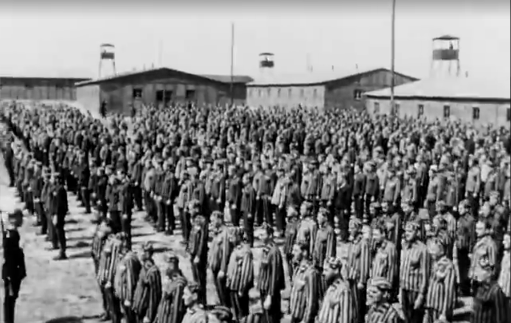 景观社会剧照的剧照