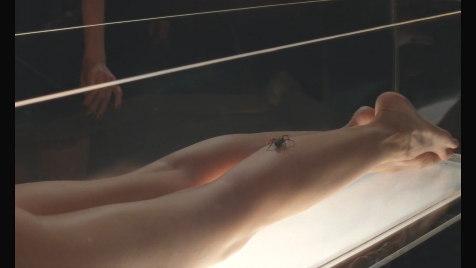 最美的岛屿剧照的剧照