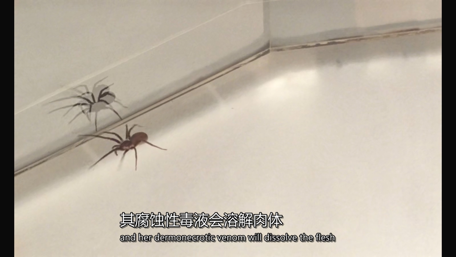 最美的岛屿剧照的剧照