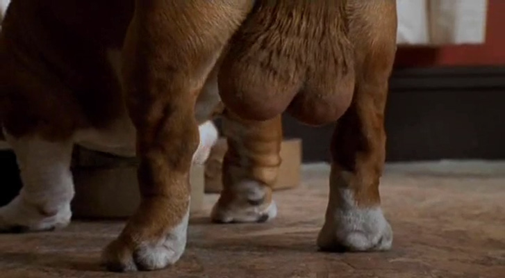 留级之王剧照的剧照