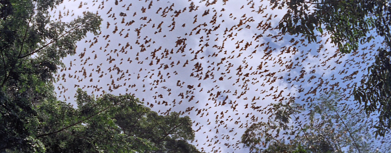 桂河大桥剧照的剧照