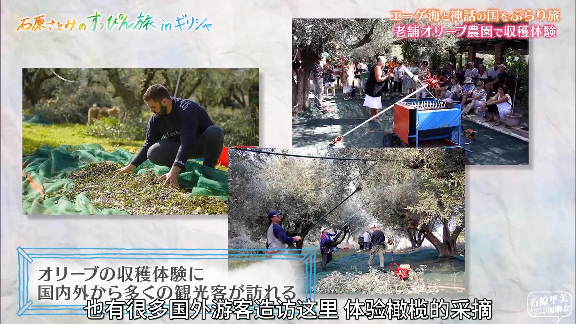 石原里美的本色之旅in希腊剧照的剧照