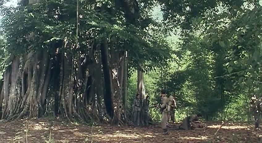 山顶上的钟声剧照的剧照