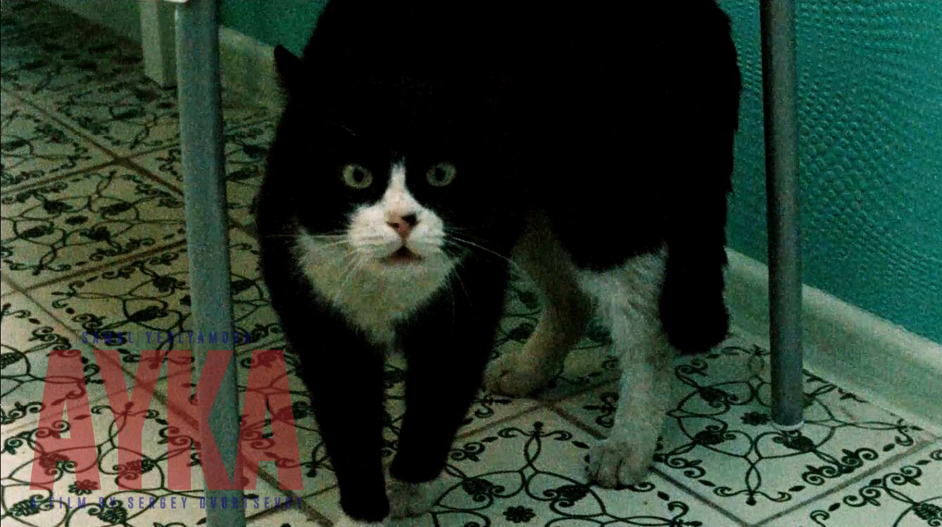 小家伙剧照的剧照