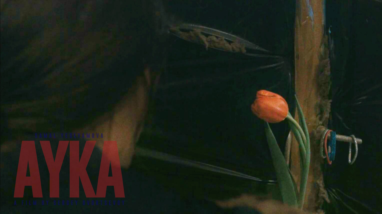 小家伙剧照的剧照