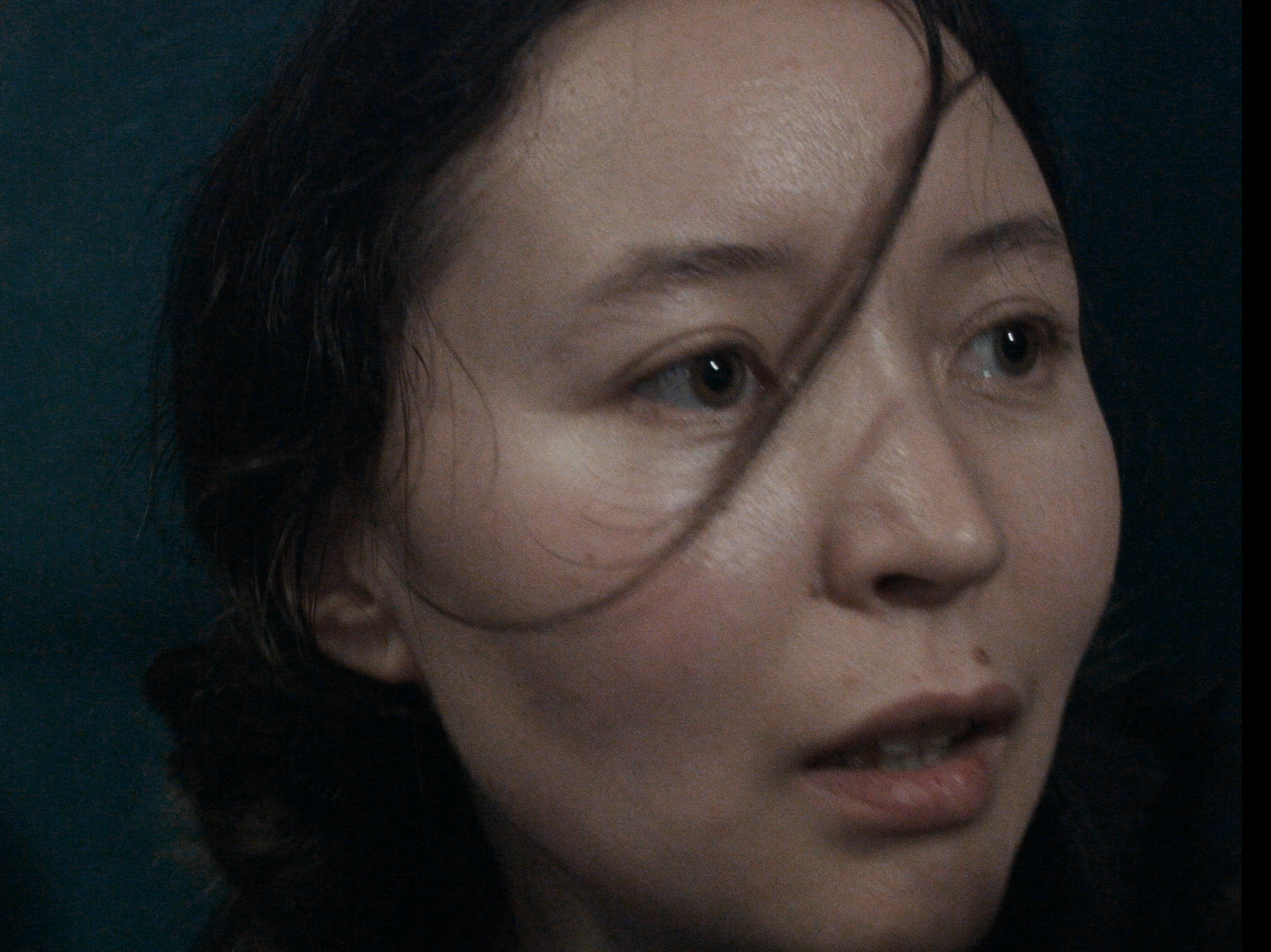 小家伙剧照的剧照