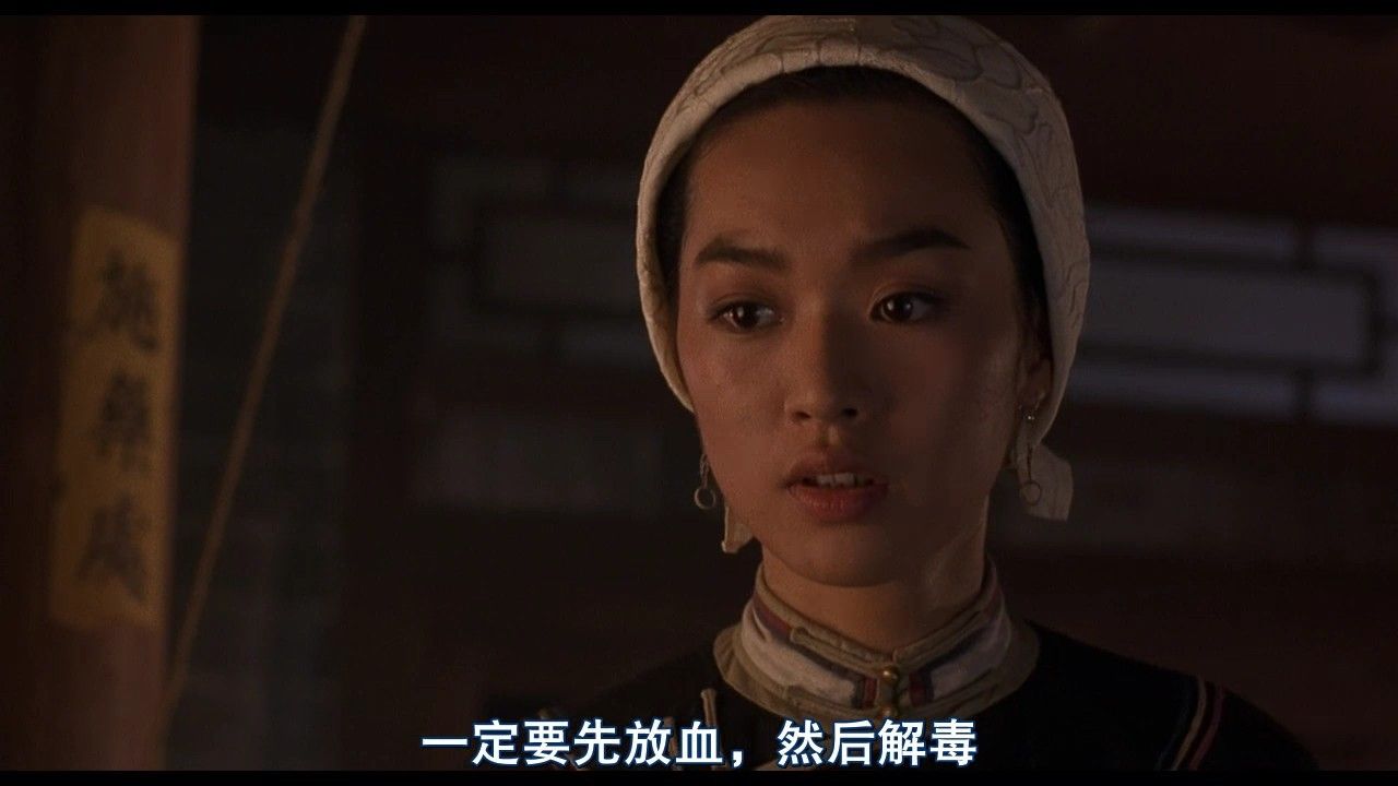 少年黄飞鸿之铁马骝剧照的剧照