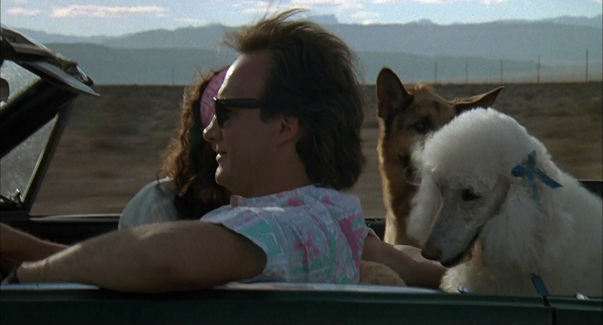 冲锋九号剧照的剧照