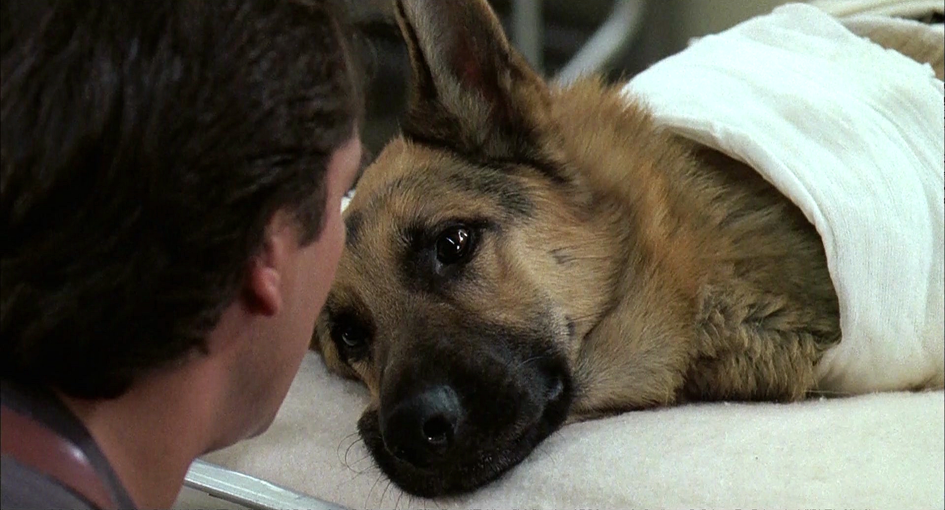 冲锋九号剧照的剧照