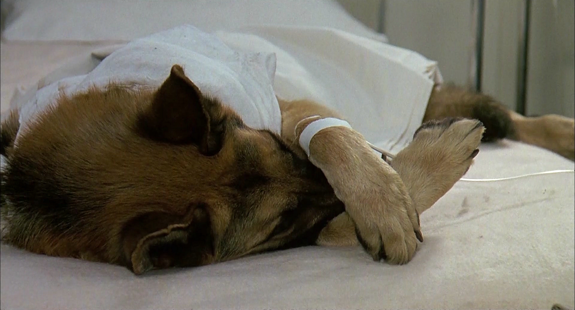 冲锋九号剧照的剧照