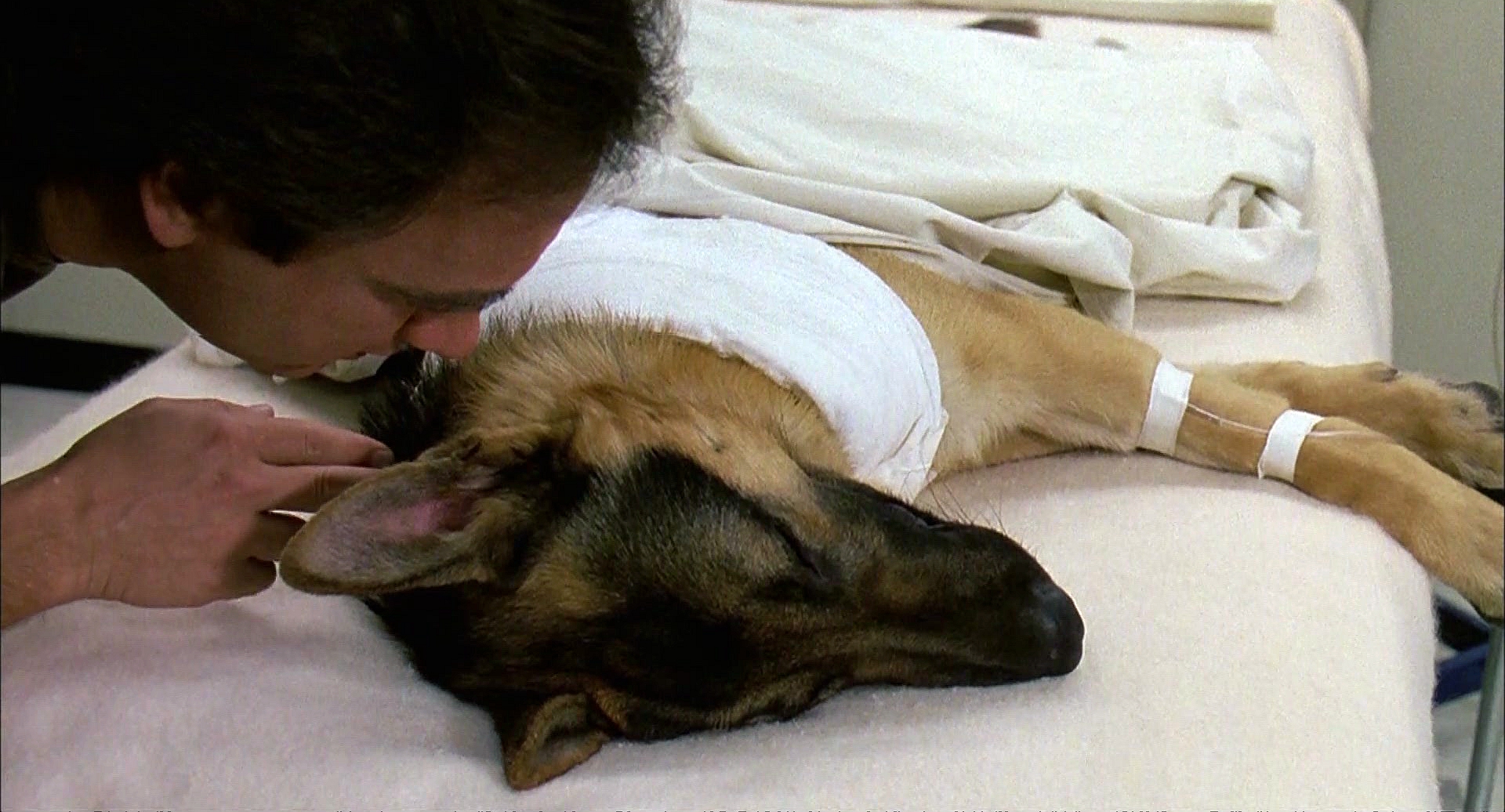 冲锋九号剧照的剧照