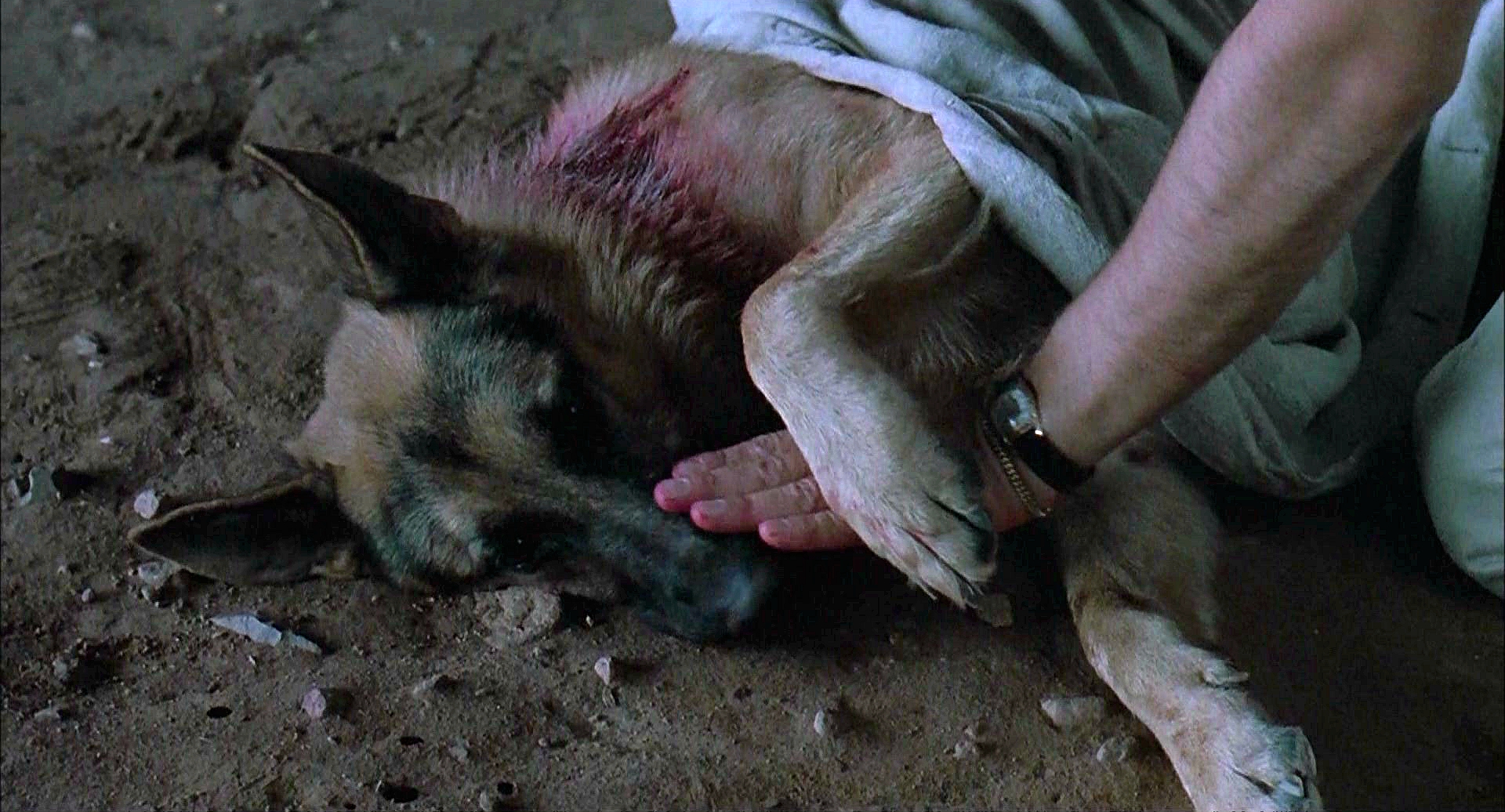 冲锋九号剧照的剧照