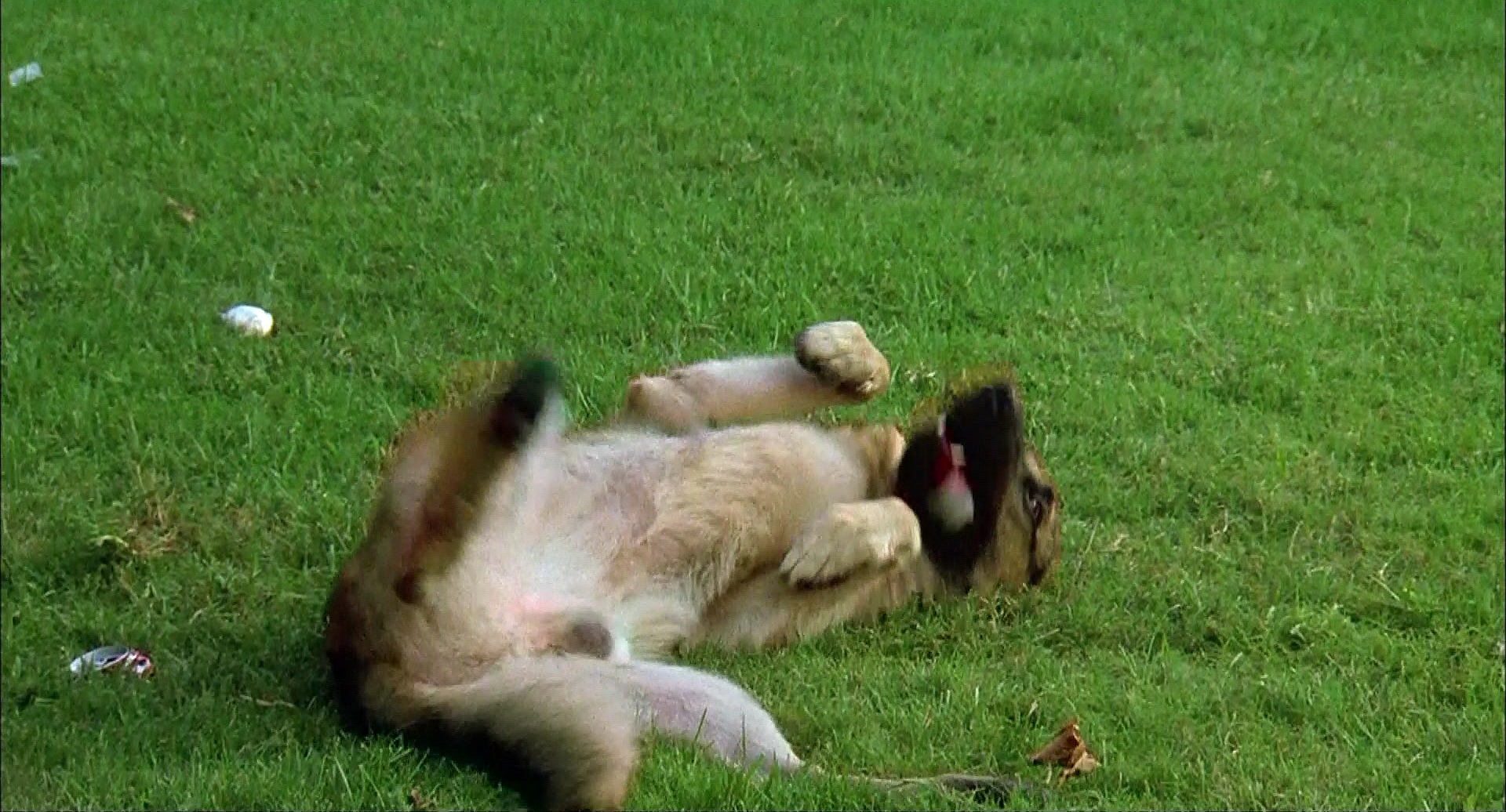 冲锋九号剧照的剧照