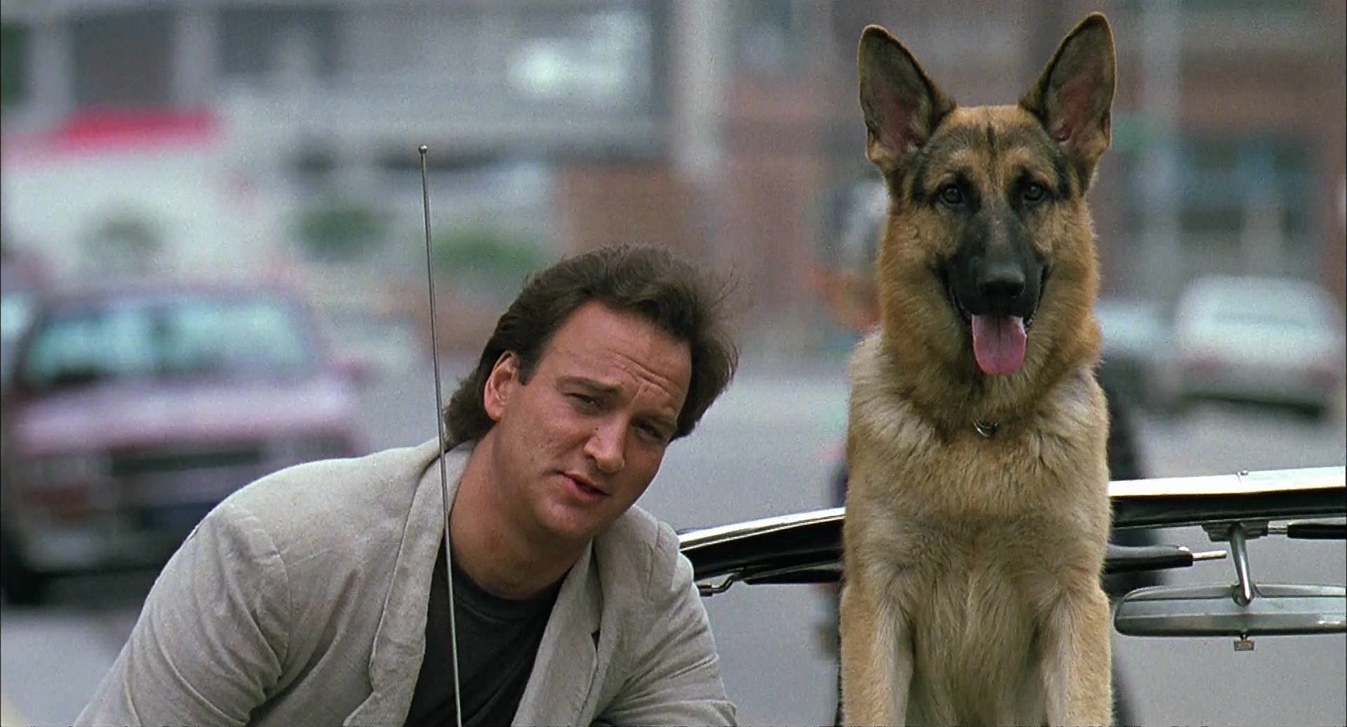 冲锋九号剧照的剧照