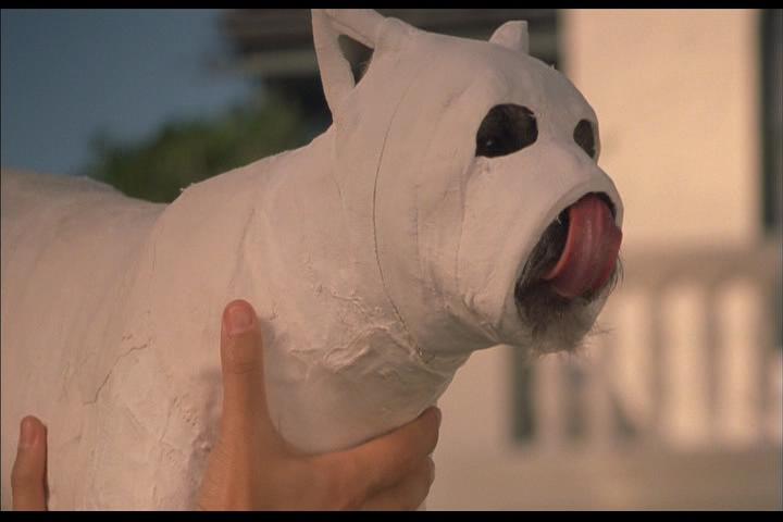 我为玛丽狂剧照的剧照