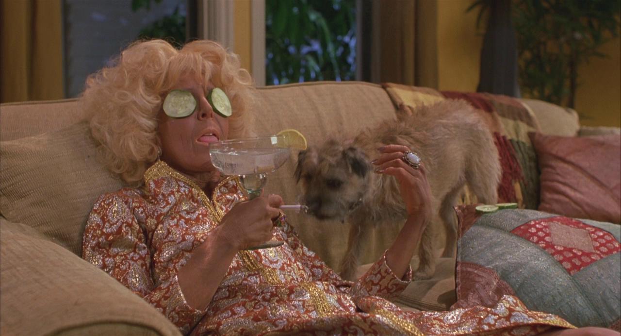 我为玛丽狂剧照的剧照