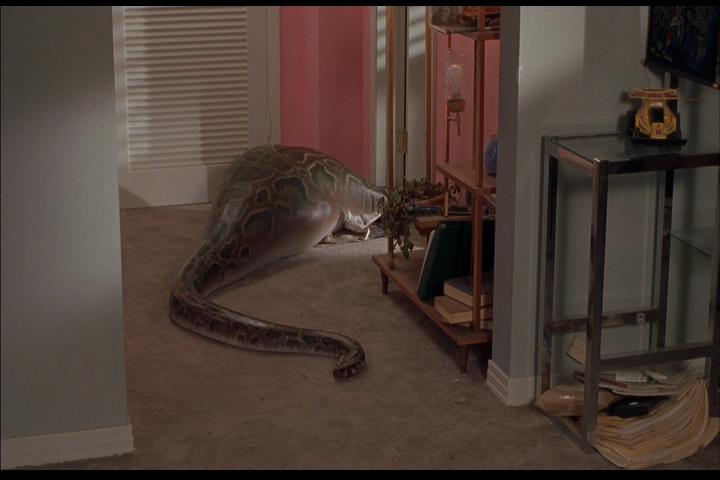 我为玛丽狂剧照的剧照