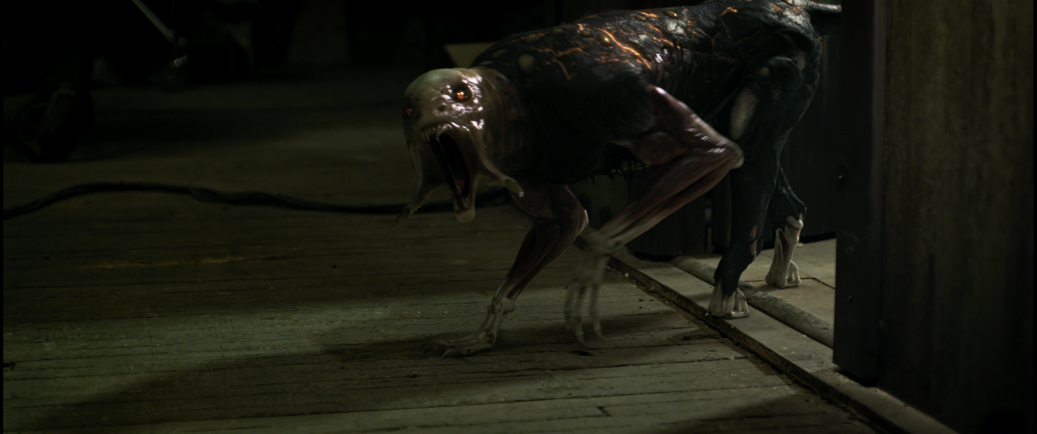 净化之时剧照的剧照