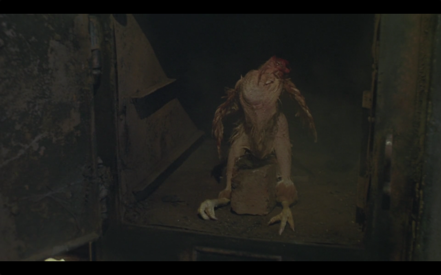 我与长指甲剧照的剧照