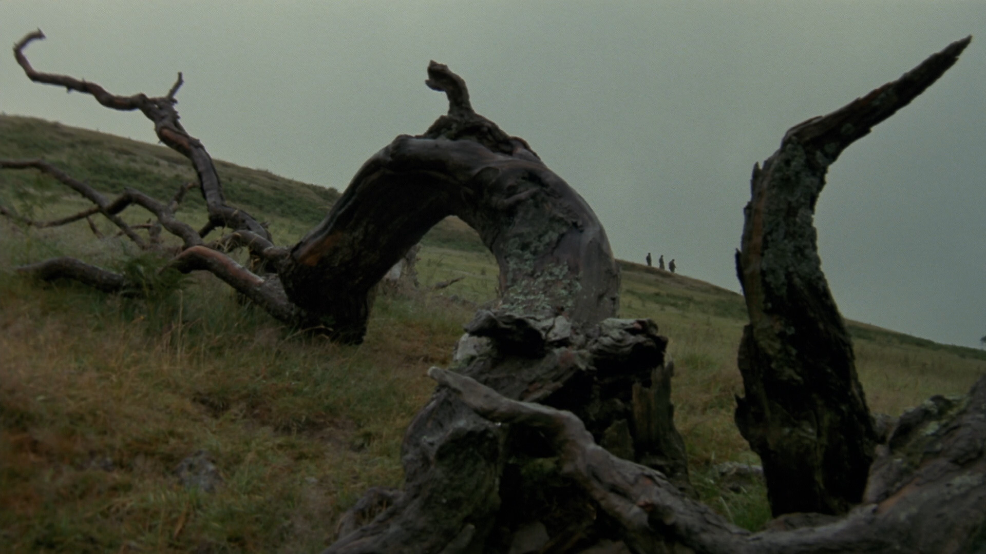 我与长指甲剧照的剧照