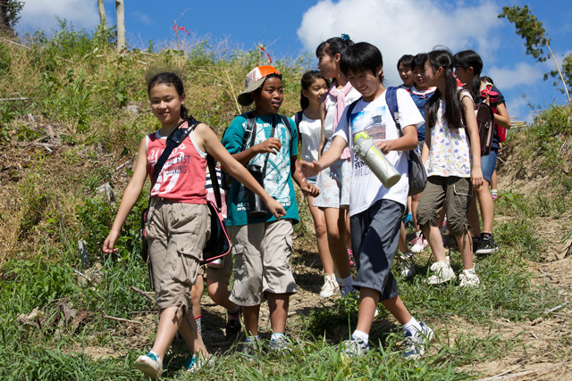 风之舞者剧照的剧照