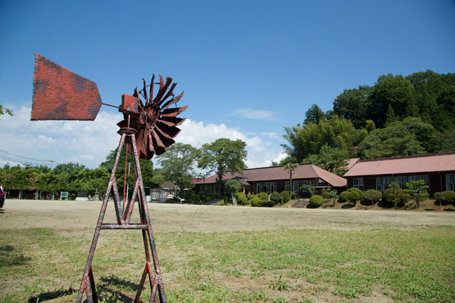 风之舞者剧照的剧照