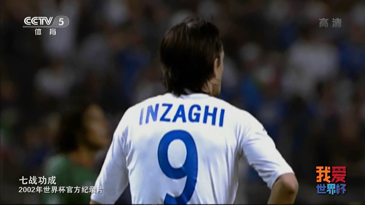 七战功成：2002年世界杯官方纪录片剧照的剧照