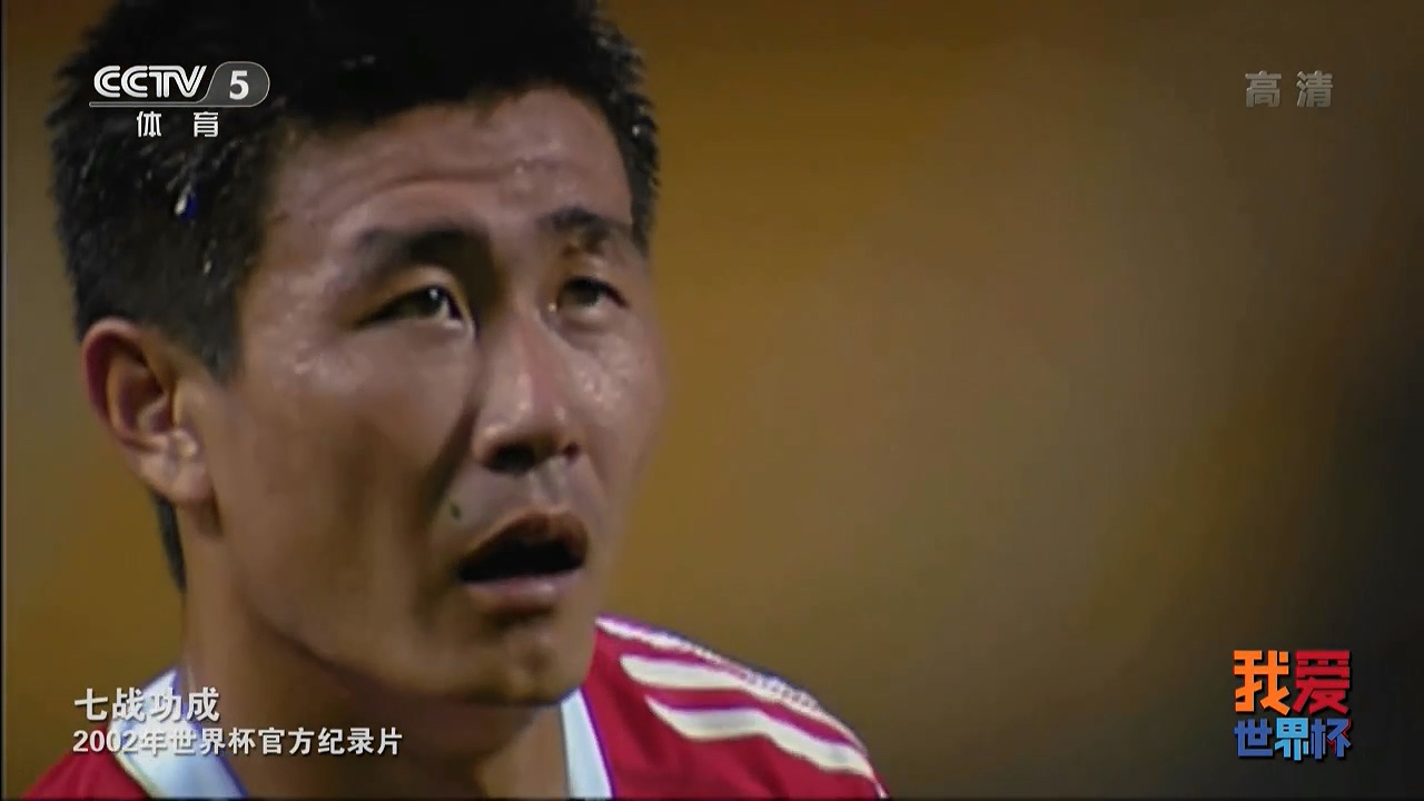 七战功成：2002年世界杯官方纪录片剧照的剧照